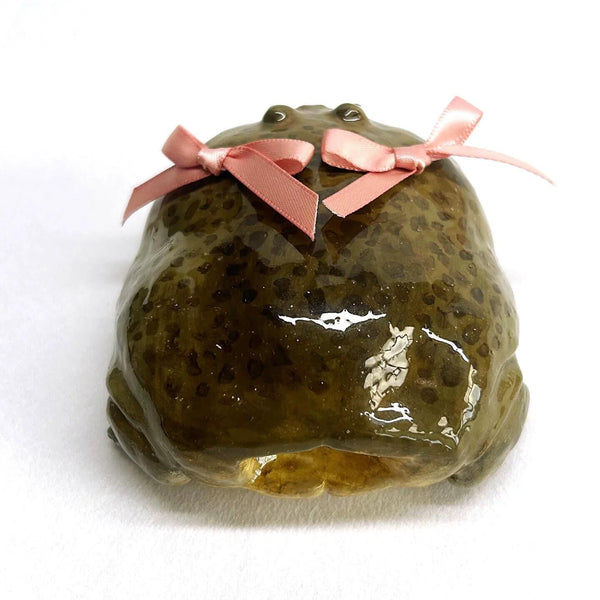 [airpods case] Frog 🐸 - Bear Hugs