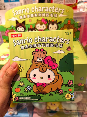 Sanrio Woodland Wonders Capybara Plush Blind Box
