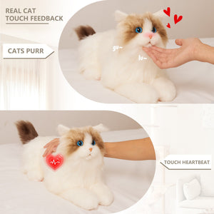 MateCat1.1 Robot Cat – Companion Toy for Sensory Comfort - Bear Hugs