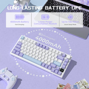 ATTACK SHARK x AJAZZ AK820 Pro Gasket Keyboard