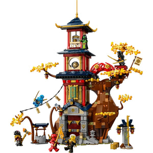 Ninja City The Temple Of The Dragon Energy Blocks (1029 Pcs)