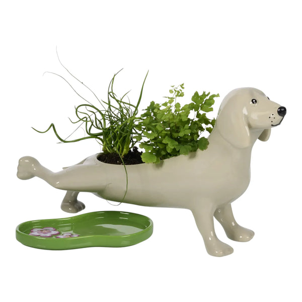 Puddles The Peeing Dog Planter