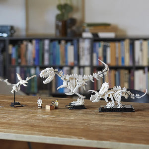 IDEAS Dinosaur Fossils Building Blocks (910 Pcs)