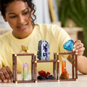 Creator Mineral Display Building Set (880 Pcs)