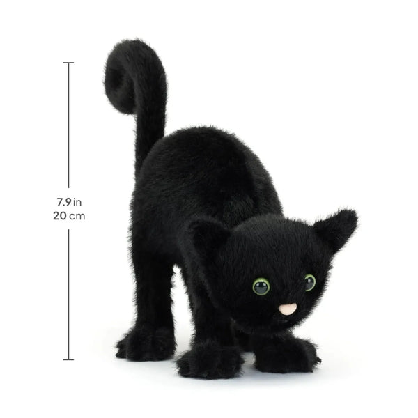 JC Spookipaws Cat Soft Plush Toy (20 cm)