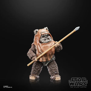 Hasbro Star Wars Wicket Figure (15 cm)
