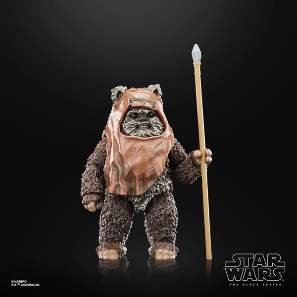 Hasbro Star Wars Wicket Figure (15 cm)