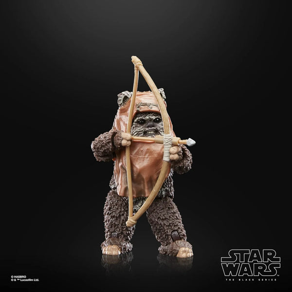 Hasbro Star Wars Wicket Figure (15 cm)