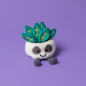 JC Amuseables Skeleton Plant Succulent Companion