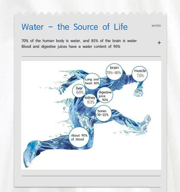 Portable Mini Low Frequency Terra Hertz Terahertz Healthy Hydrogen Water Generators Device - Bear Hugs