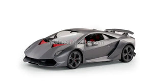 Rastar 1:24 Scale RC Car for License Die Cast Toy Plastic Vehicles Hobby Model Children Collect Camera 4CH - Bear Hugs