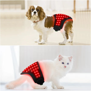 RecoverQwik Pet Red Light Therapy Belt