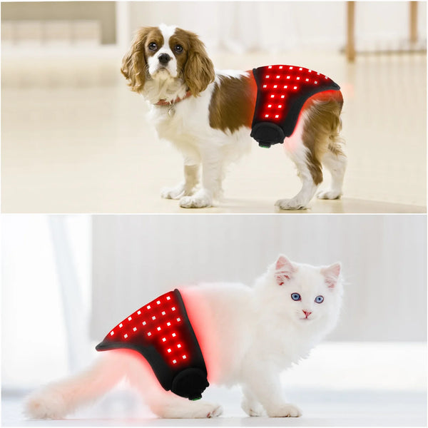 RecoverQwik Pet Red Light Therapy Belt