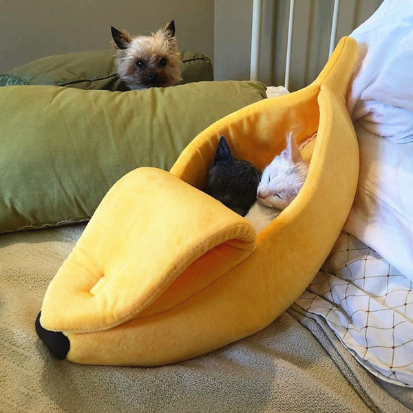 Going Bananas Cat House