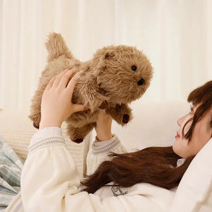 Sea Otter Snuggler Plush (35 cm)