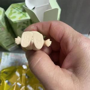 Sonny Angel Cactus Series Blind Box