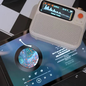 Divoom FlowToo Wireless Bluetooth Speaker - Bear Hugs