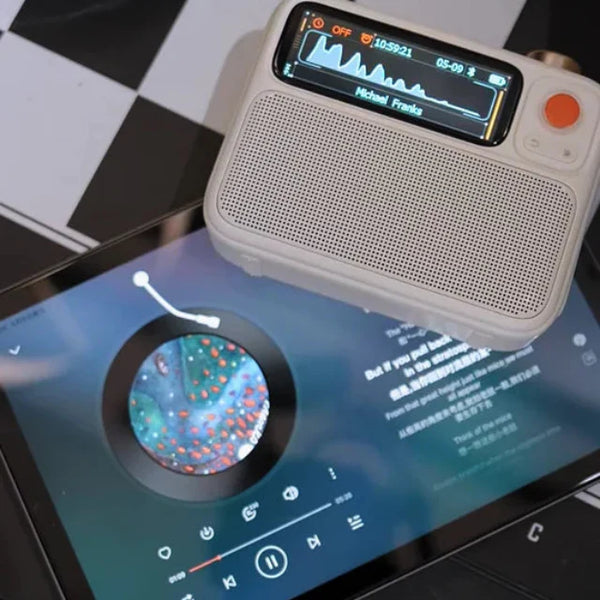 Divoom FlowToo Wireless Bluetooth Speaker - Bear Hugs