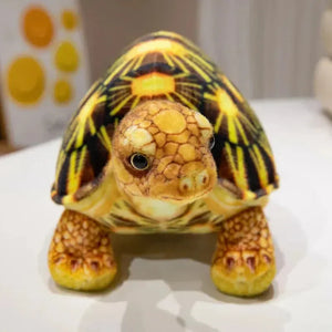 Cute Life Like Tortoise Plushie - Bear Hugs