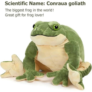 Giant Frog Stuffed Animal Soft Plush Toy 11-22 Inches Cute Huggable Cuddly Toy for Kids And Adults - Bear Hugs