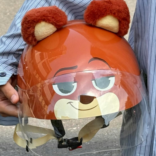Nick Clever Fox Protection Helmet
