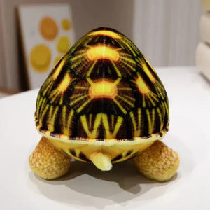 Cute Life Like Tortoise Plushie - Bear Hugs