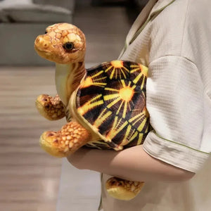 Cute Life Like Tortoise Plushie - Bear Hugs