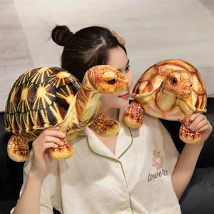 Cute Life Like Tortoise Plushie - Bear Hugs