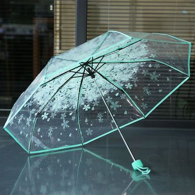 Fashion Sakura Folding Umbrella PN3423 - Bear Hugs