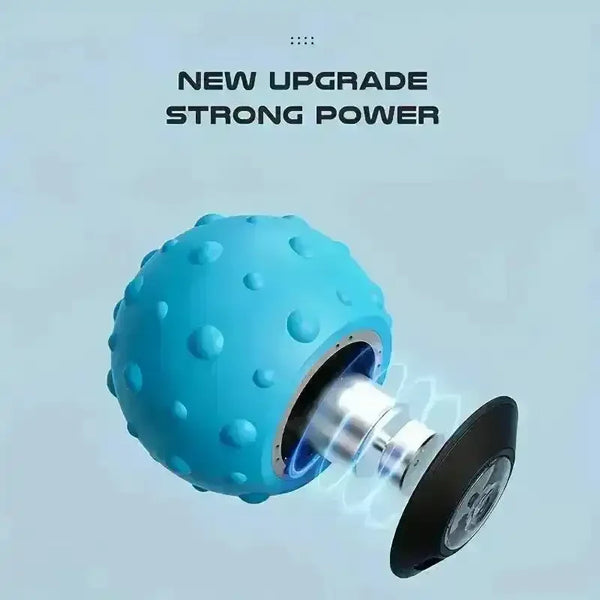 5 Speed Vibration Massage Ball - Bear Hugs