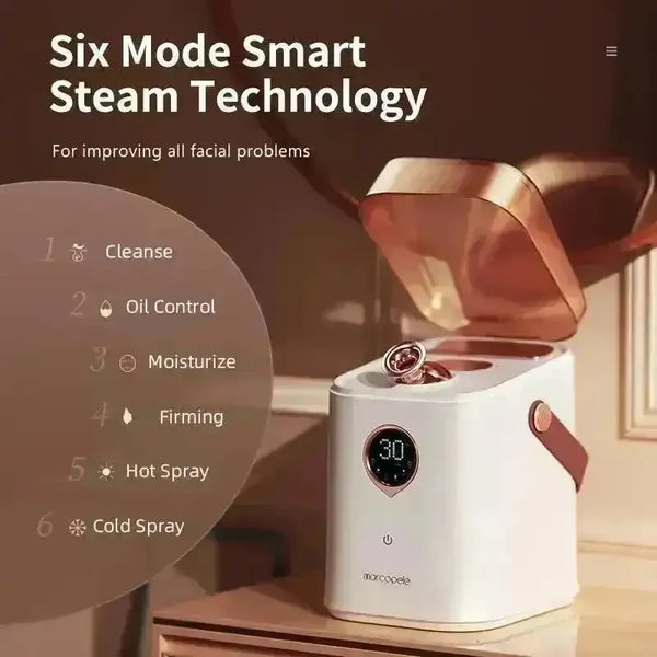Advanced Nano Ionic Face Steamer - Bear Hugs
