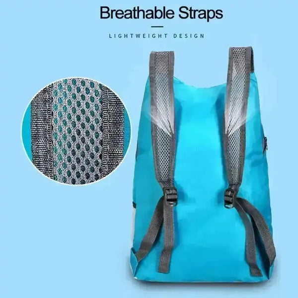 Backpack in a Pouch Folding Bag (20L Capacity) - Bear Hugs