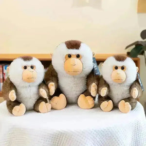 Baobao Monkey Plushie (25 cm) - Bear Hugs