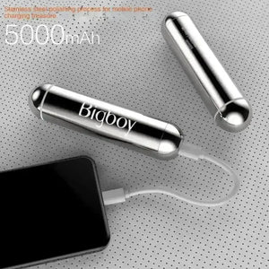 BIG BOY Vibrating Massager Power Bank - Bear Hugs