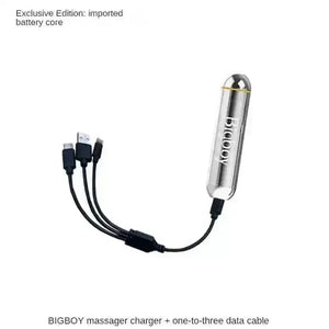BIG BOY Vibrating Massager Power Bank - Bear Hugs