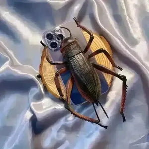 Creepy Cockroach Phone Case (For iPhones) - Bear Hugs