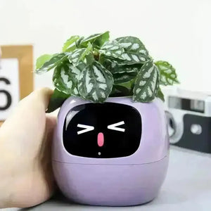 Cute Emoji Plant Pot - Bear Hugs