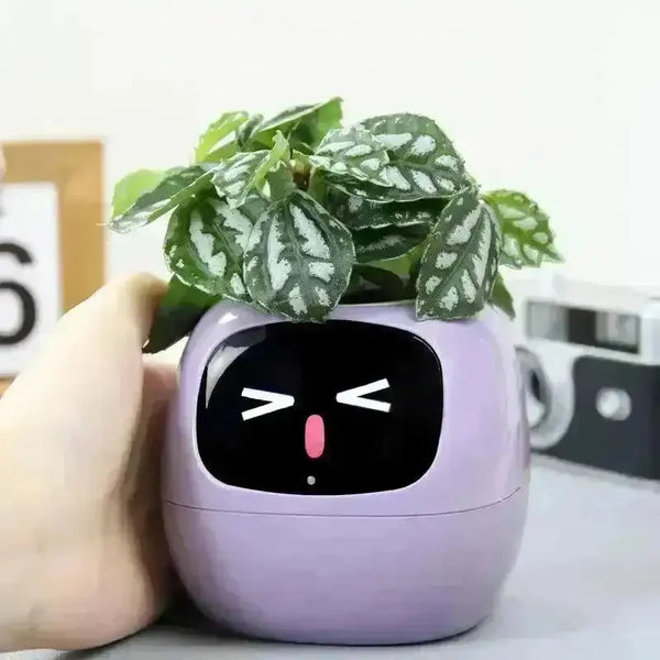 Cute Emoji Plant Pot - Bear Hugs