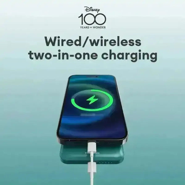 Disney 100 Years Anniversary Fast Charging Power Bank - Bear Hugs