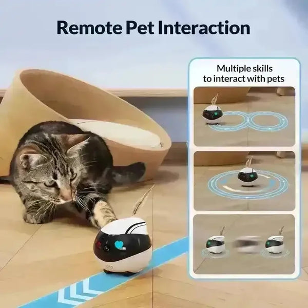 Enabot EBO Air Smart Home Companion - Bear Hugs