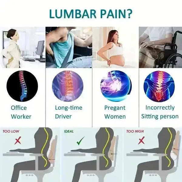 Ergonomic Lumbar Support Pillow - Bear Hugs