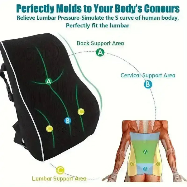 Ergonomic Lumbar Support Pillow - Bear Hugs