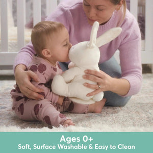 Gund Flora the Bunny Interactive Plushie - Bear Hugs