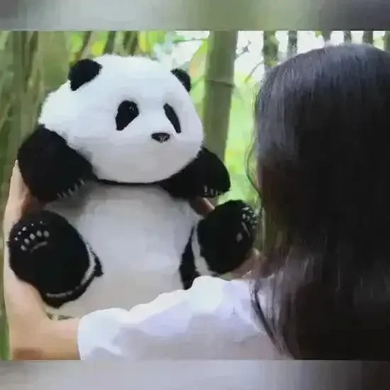 Life-like Giant Panda Plushie - Bear Hugs