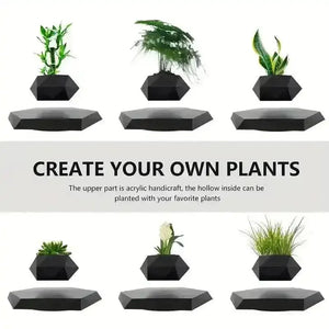 Magnetic Levitating Mini Rotating Flower Pot - Bear Hugs