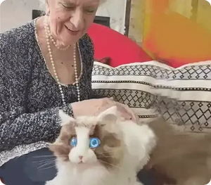 metaCat: Lifelike AI-Enabled Pet - Bear Hugs