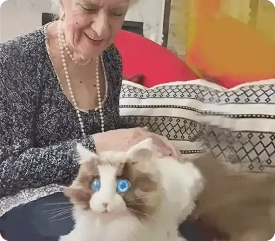 metaCat: Lifelike AI-Enabled Pet - Bear Hugs