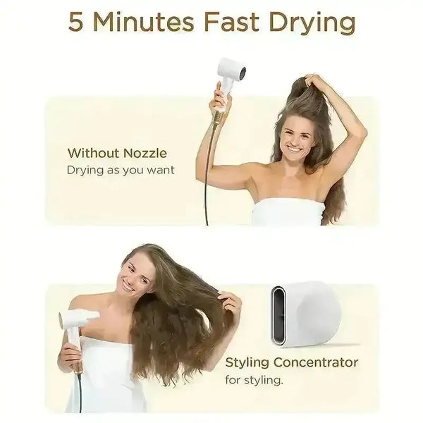 PLAVOGUE Portable Hair Dryer - Bear Hugs