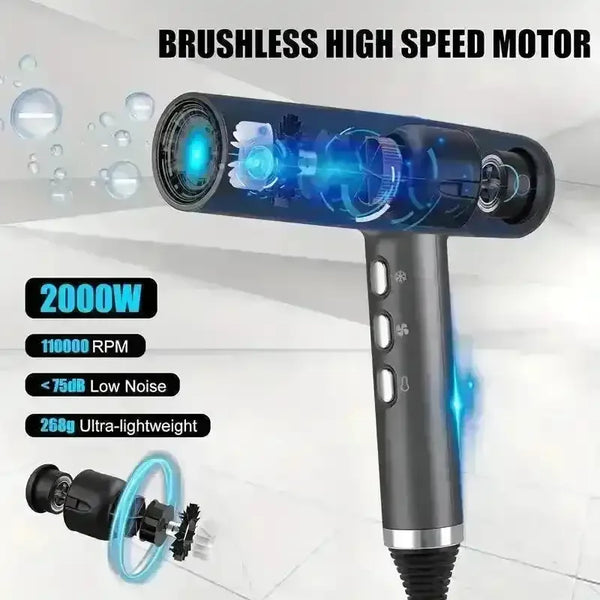 Professional Hair Dryer with Diffuser - Bear Hugs