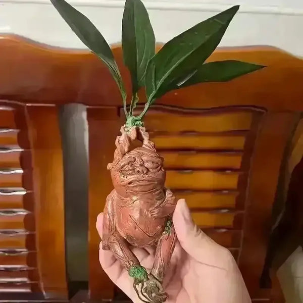 Realistic Mandrake Pullout Plant - Bear Hugs